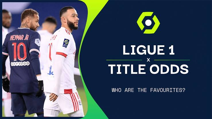 Distinguishing Famous Clubs from Profitable Teams in Ligue 1 2012/2013: A Bettor’s Perspective
